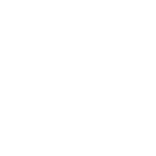 ZIDNESER